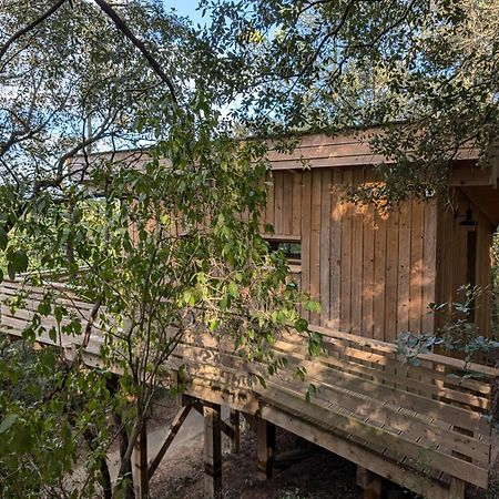 Les Cabanes Dans Les Bois Logis Hotel Villedubert Dış mekan fotoğraf