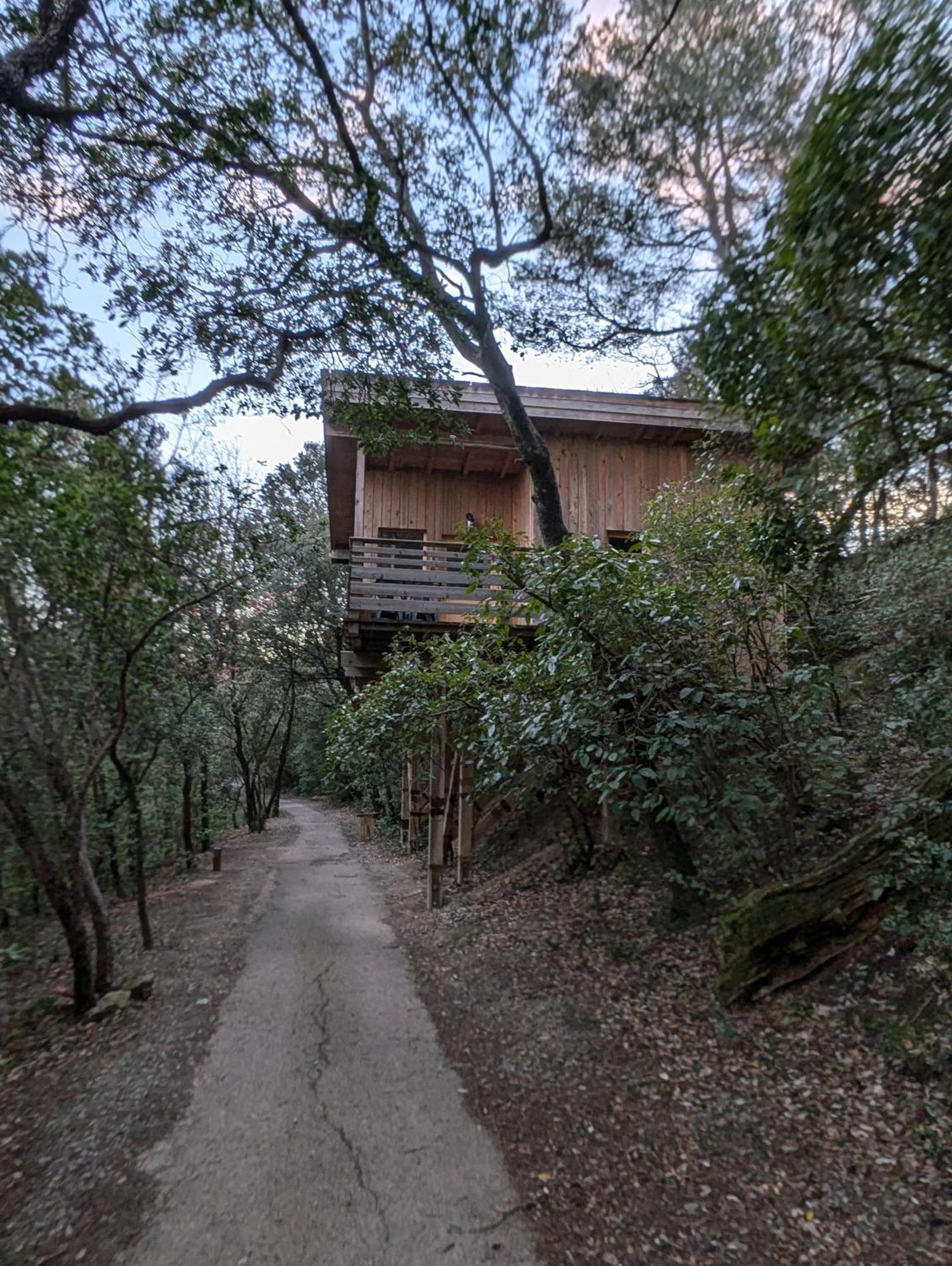 Les Cabanes Dans Les Bois Logis Hotel Villedubert Dış mekan fotoğraf