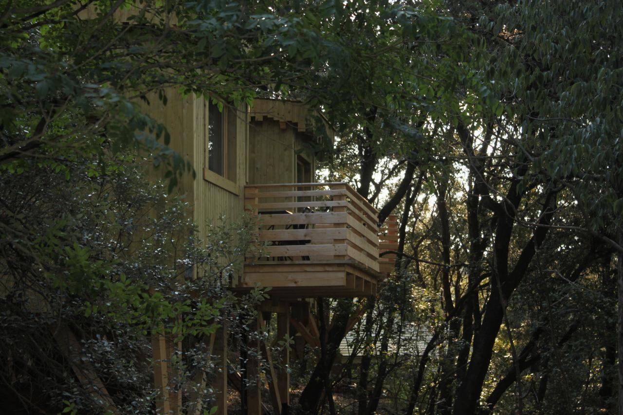 Les Cabanes Dans Les Bois Logis Hotel Villedubert Oda fotoğraf