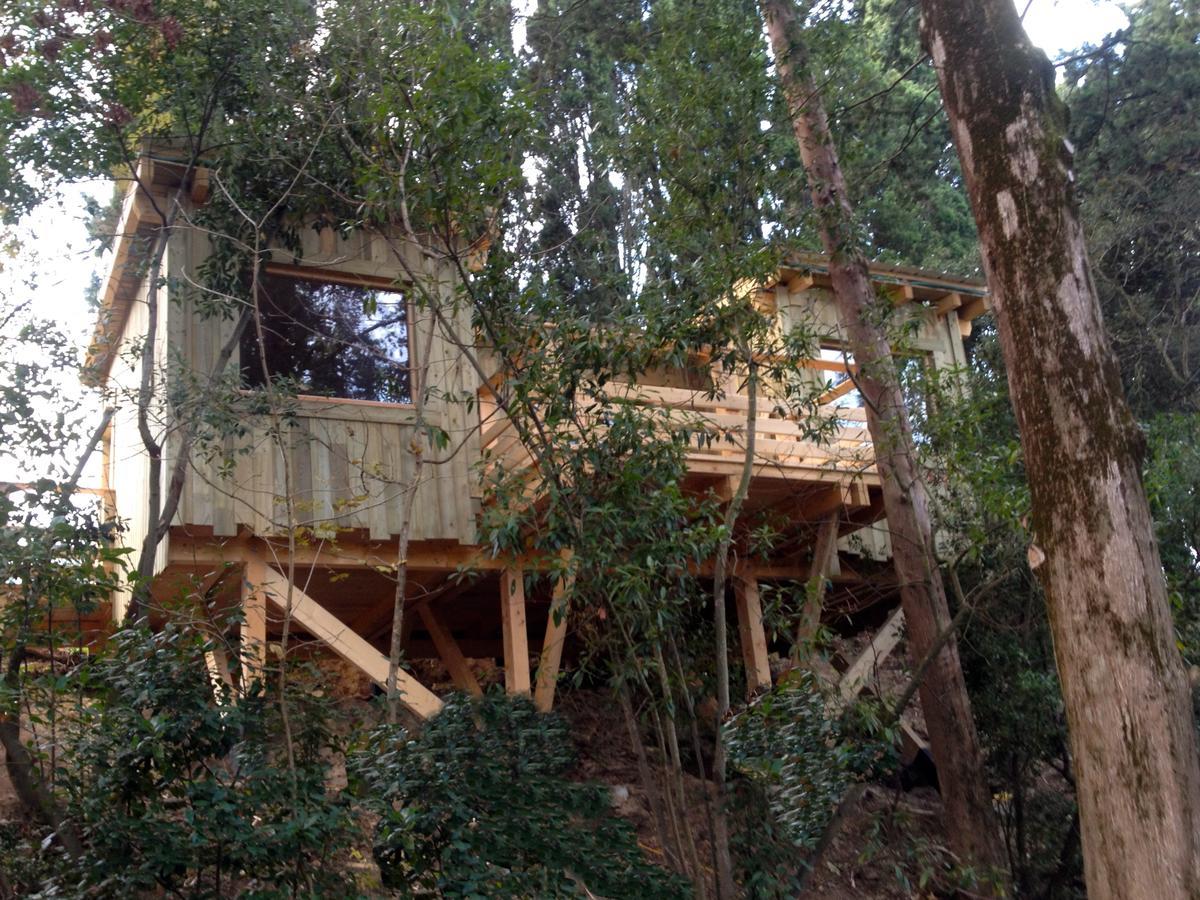 Les Cabanes Dans Les Bois Logis Hotel Villedubert Oda fotoğraf