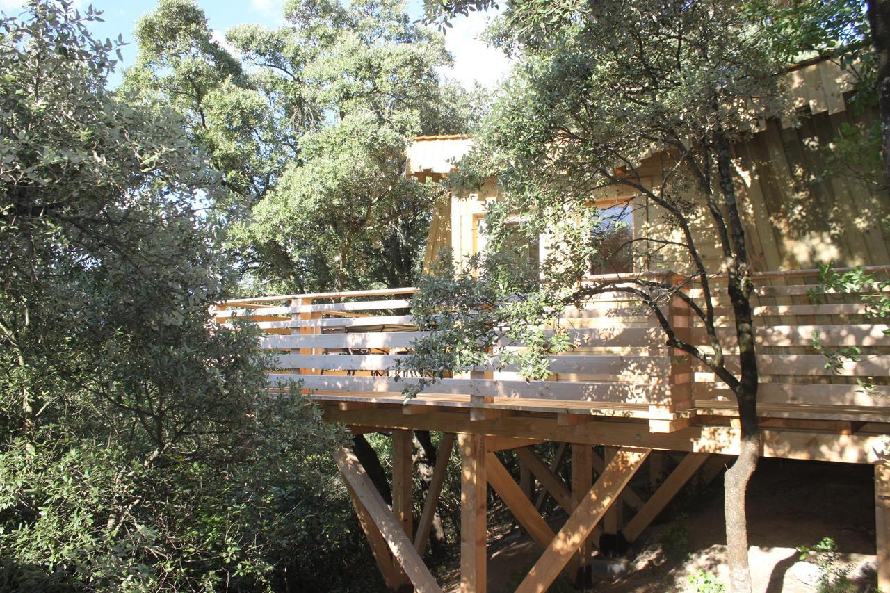 Les Cabanes Dans Les Bois Logis Hotel Villedubert Oda fotoğraf