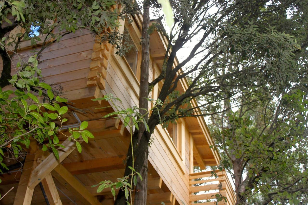 Les Cabanes Dans Les Bois Logis Hotel Villedubert Dış mekan fotoğraf