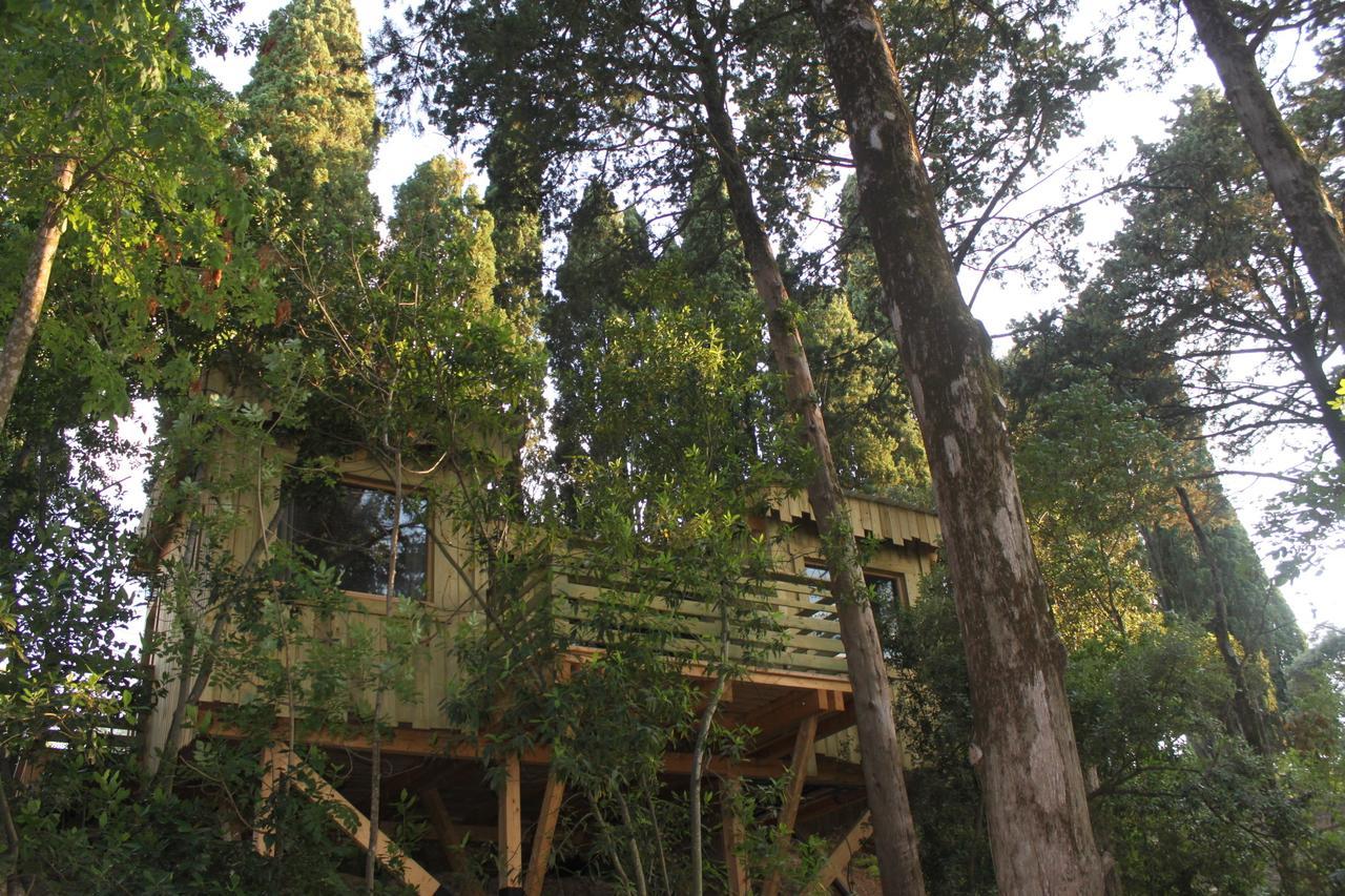 Les Cabanes Dans Les Bois Logis Hotel Villedubert Oda fotoğraf