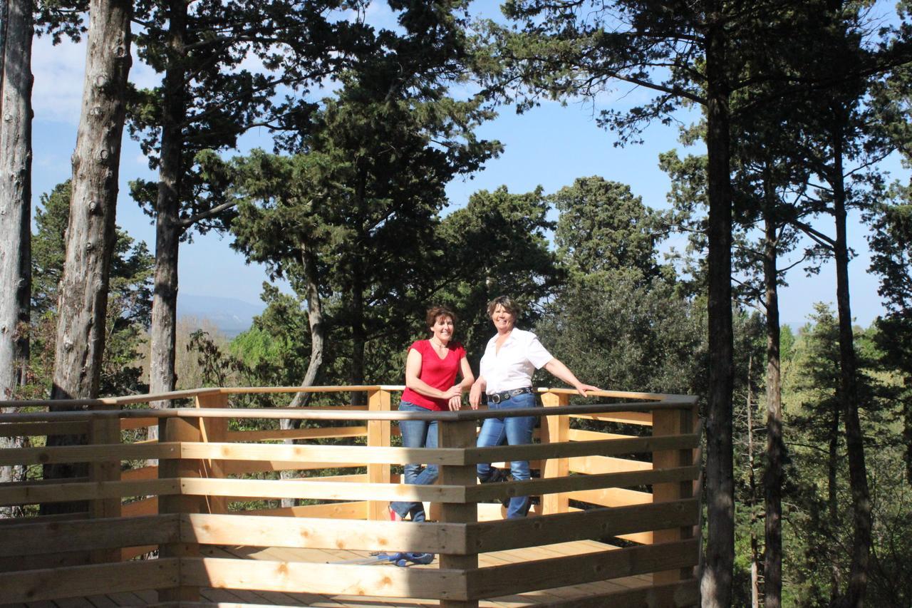 Les Cabanes Dans Les Bois Logis Hotel Villedubert Dış mekan fotoğraf