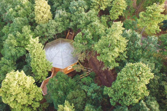 Les Cabanes Dans Les Bois Logis Hotel Villedubert Dış mekan fotoğraf