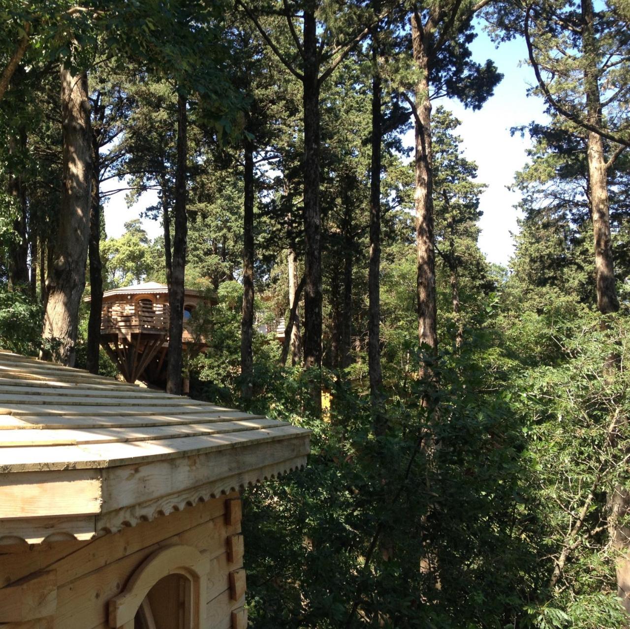 Les Cabanes Dans Les Bois Logis Hotel Villedubert Dış mekan fotoğraf